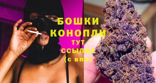 мет Пестово