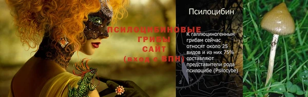 шишки Покровск