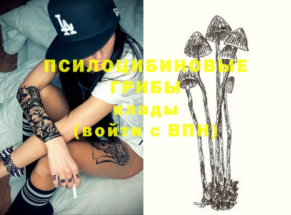соль ск Покачи