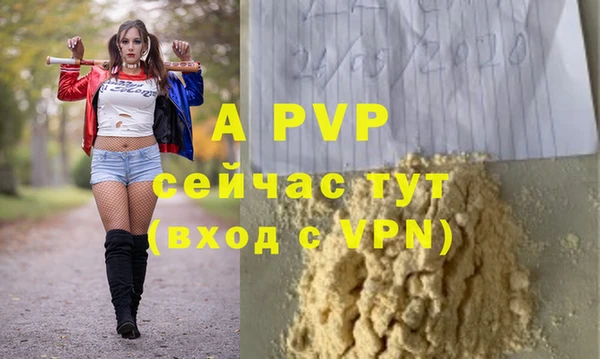 таблы Шимановск