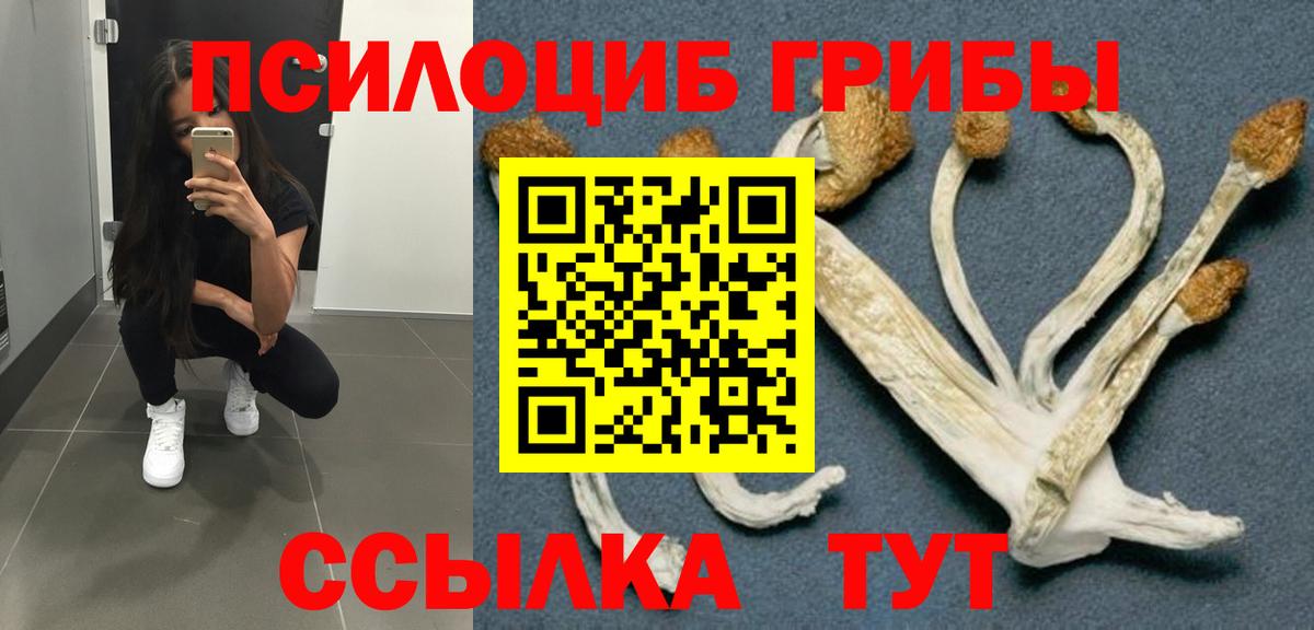 Галлюциногенные грибы Psilocybine cubensis  Вход с VPN  Губаха  Псилоцибиновые грибы мухоморы 