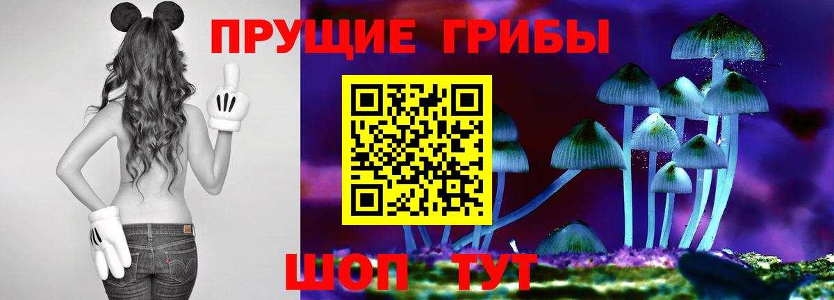 Галлюциногенные грибы мухоморы  Губаха 